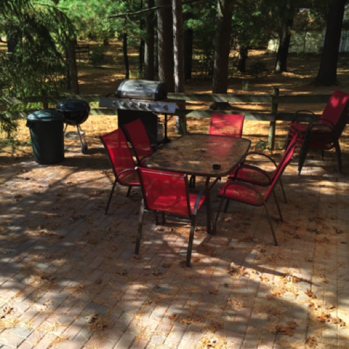 Private patio with 2 tables and both gas and charcoal grills. Chairs and tables for 10.